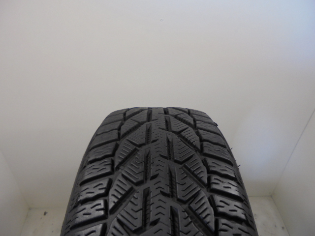 STRIAL Suv winter gumiabroncs